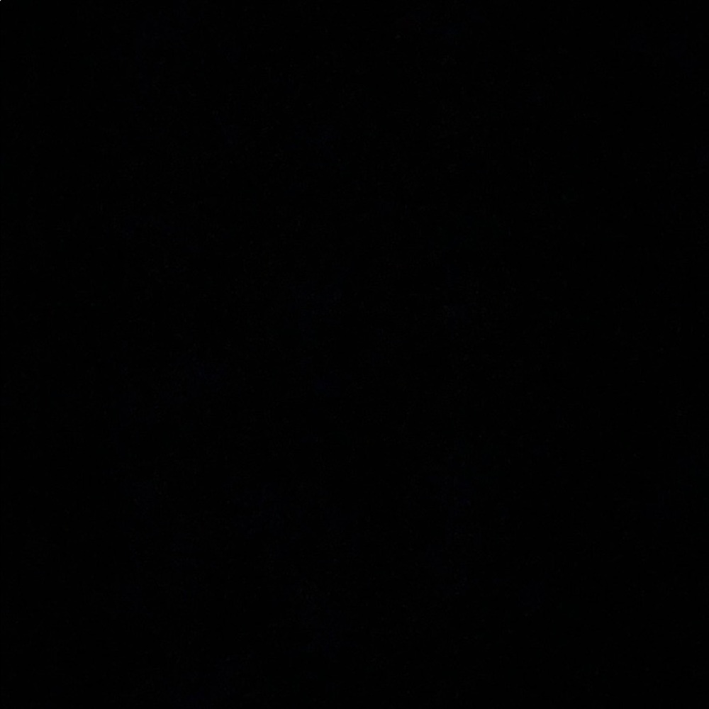 Meet your Posher, Shelsea